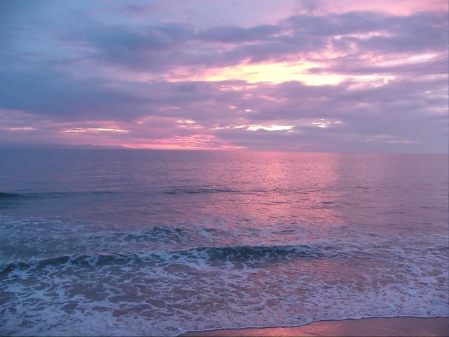 Purple Sunset